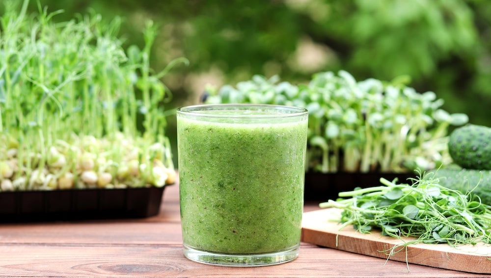 Sunflower Micro Green Smoothie