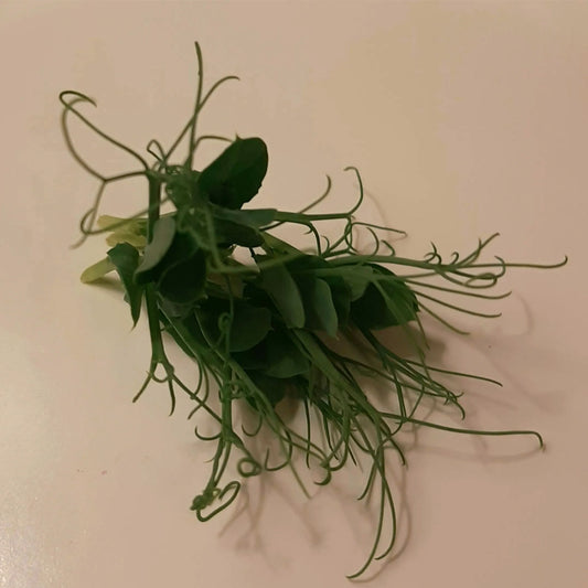 Pea Tendrils (Affilla Pea) 4oz.